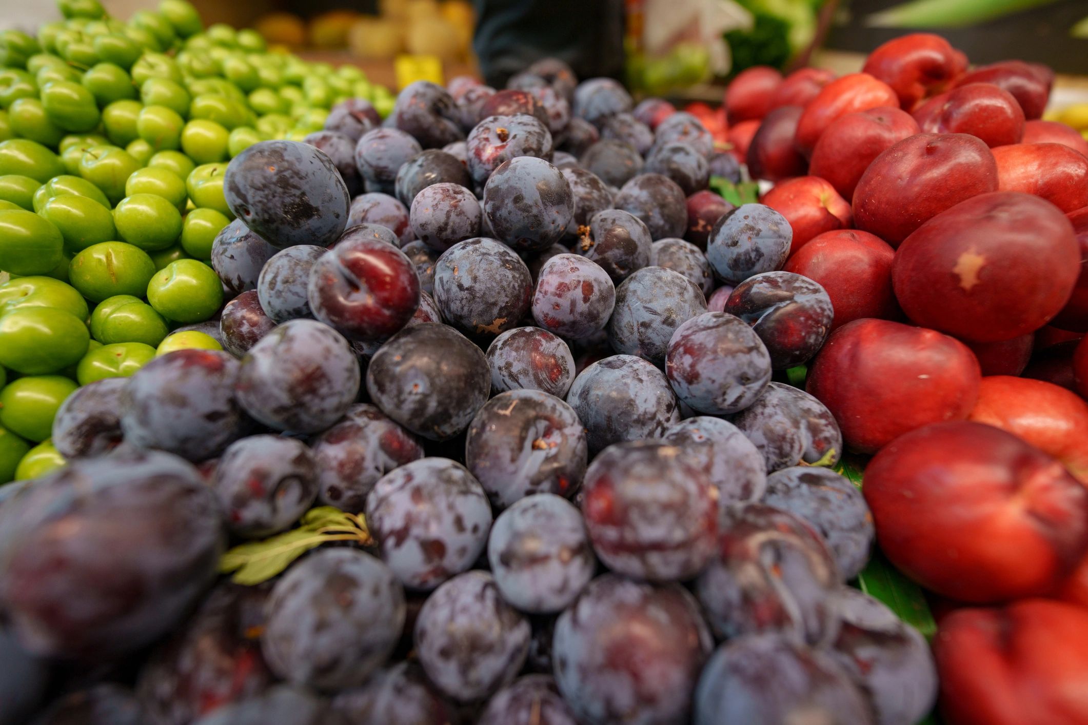 Fresh produce displayed at a roadside farm stand